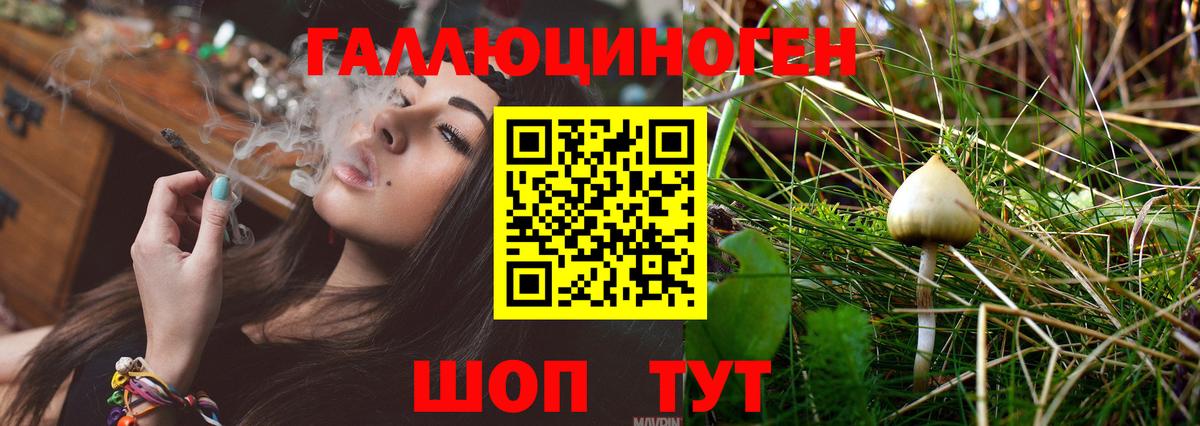 Чебаркуль  Псилоцибиновые грибы прущие грибы  Вход с VPN 