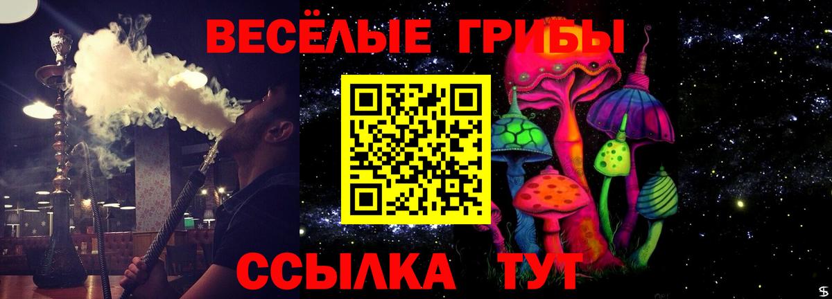Галлюциногенные грибы GOLDEN TEACHER Чебаркуль
